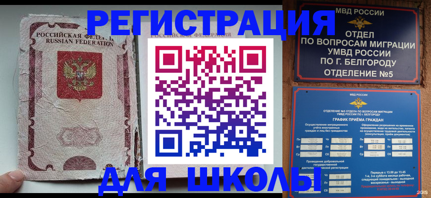 прописка гарантия в Бородино